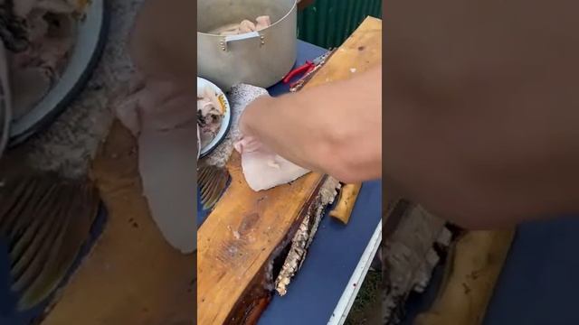 Щуки монстры! Разделка рыбы на филе! Будем готовить жаркое из щуки!   #разделкарыбы #щука #трофей