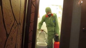 Как происходит уничтожение тараканов в квартире.