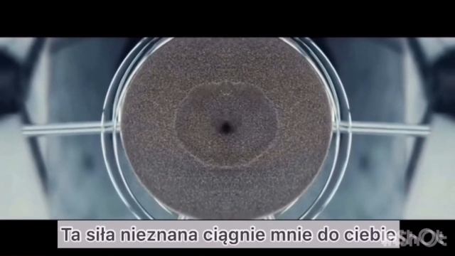 Польский по песням, Польский для начинающих, Польский язык, слова на польском смотреть онлайн