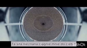 Польский по песням, Польский для начинающих, Польский язык, слова на польском