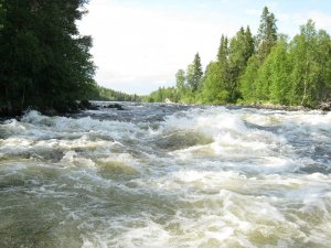 рыбалка Кольский полуостров
