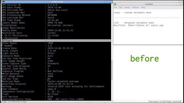 Image forensic - Metadata & analysis (real or fake picture) | EXIF смотреть онлайн