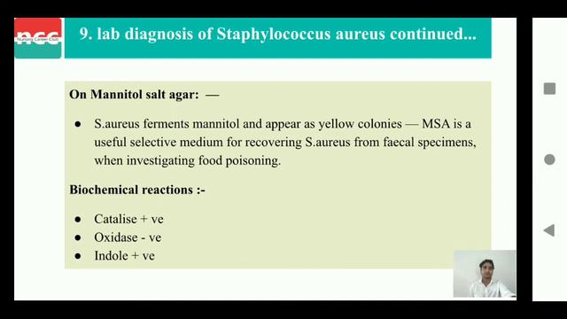 DMLT 2.3.2.1 -Gram positive cocci bacteria