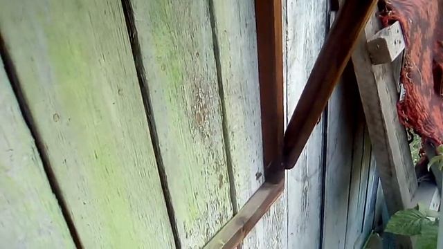 Душ дачный Camp Shower как лучше установить