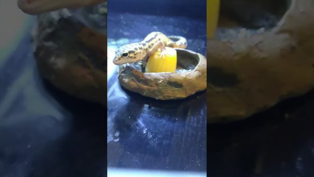 9 February 2023 смотреть онлайн