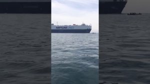 Рыбалка в Новороссийске