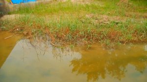 Река Мокрая Мечётка, водовод сквозь дамбу между Спартановкой и Тракторным посёлком, Волгоград