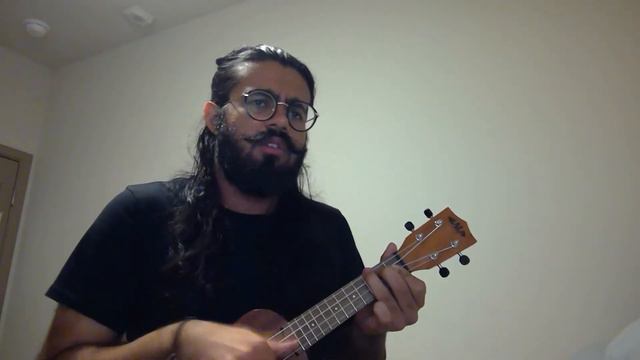 Through The Fire and Flames Ukulele Cover (Abridged) смотреть онлайн