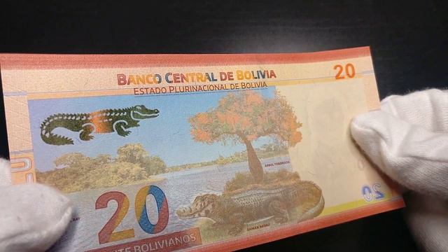 20 Банкноты Боливии 2018  Banknotes of Bolivia BanknoTime review обзор ультрафиолет