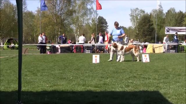 Московская сторожевая, САС (7) 09.05.2014 смотреть онлайн