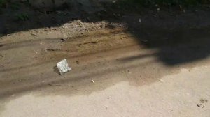 Индия. Патиала. Уличная жизнь в Индии