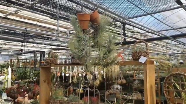 Теплица ~ Ботанический сад.1 часть.
