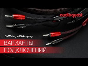 Bi-Wiring и Bi-Amping | Типы кабельного подключения - разбираем основные отличия