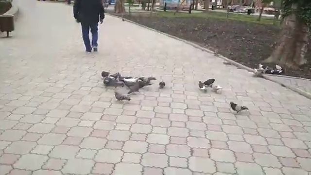 Парк Гагарина Симферополь смотреть онлайн