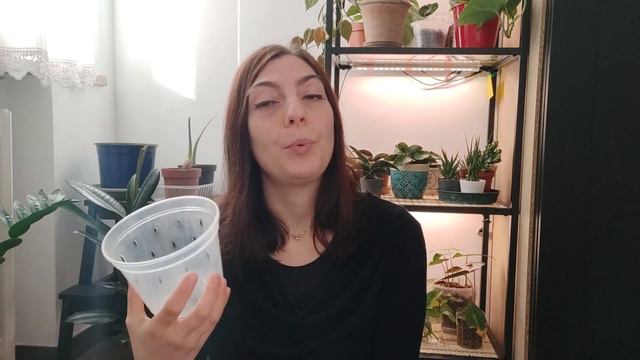 Plant Haul | Acquisti per piante su EVOplant e al vivaio смотреть онлайн