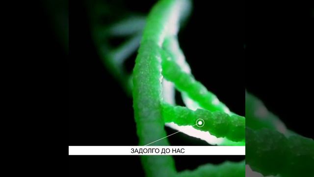 Спирулина в капсулах "Тяньши" помогает прожить долгую и здоровую Жизнь. смотреть онлайн