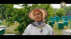 Отправляю пчелопакеты. Отзывы покупателей о купленных пчелопакетах. Пчелопакеты Buckfast B119