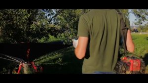 Сбор сливы - самый простой, быстрый и дешевый способ сбора урожая с помощью шейкеров и сборщиков