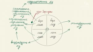 Рак молочной железы (лимфоотток от молочной железы) | Анатомия