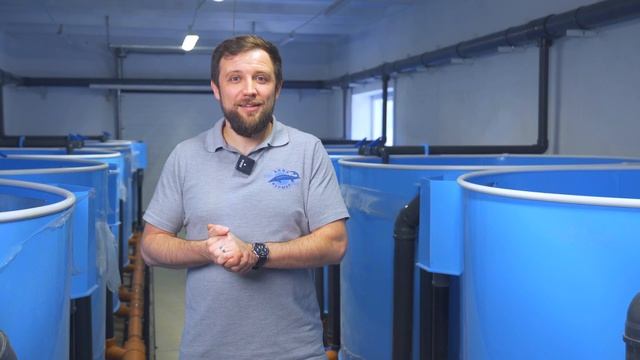 Как ПРУДОВЫМ и САДКОВЫМ фермам ПОВЫСИТЬ ЭФФЕКТИВНОСТЬ собственного БИЗНЕСА? | Бизнес ИДЕИ
