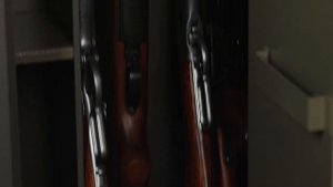 Взломостойкие оружейные сейфы Valberg. Видео обзор модельного ряда на примере модели Сафари EL.