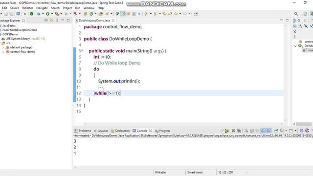 What is Do -While loop in Java?[Control Flow statement]