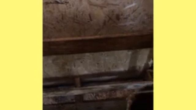 Обучение биопозитивному строительству в Шемякино