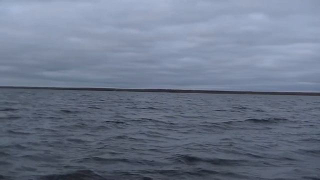 По щучьему веленью... Кубенское озеро. / The Pick must be caught... Kubensky lake. смотреть онлайн