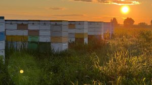 Конец кочевки 1. 09. 2024 -возвращаемся домой