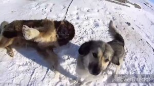 Нинооба в Монастыре Святой Нино 2018 Пока Грузия озеро Паравани ч.2.