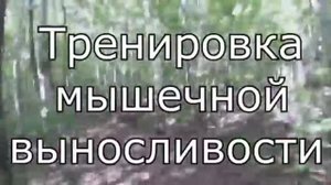 Тренировка мышечной выносливости лыжников