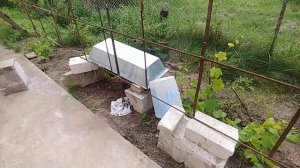 опора для винограда своими руками / DIY easy grapevine trellis