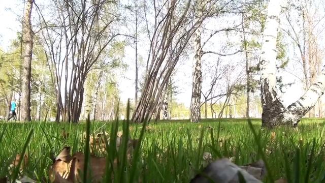 1 CLIP смотреть онлайн