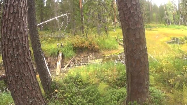 В избу на лодке. 30.08.21 г. смотреть онлайн