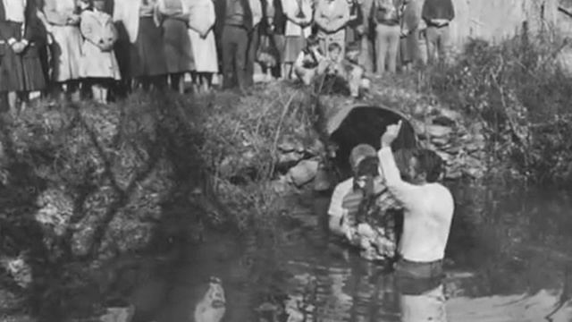 The Mockingbird Sings c.2103 T Harkleroad, S. Cort смотреть онлайн