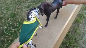 Клип" Любовь лошадей "