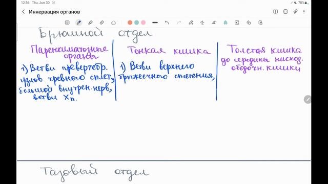ИННЕРВАЦИЯ ВСЕХ ВНУТРЕННИХ ОРГАНОВ | Быстрая анатомия за 6 минут смотреть онлайн