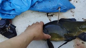 Рыбалка с рогаткой на речке.