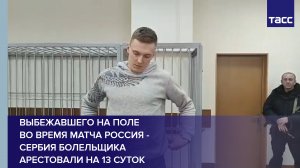 Выбежавшего на поле во время матча Россия - Сербия болельщика арестовали на 13 суток