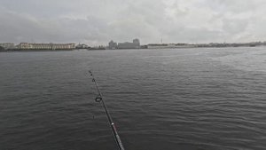 ПОИСКИ ТРОФЕЙНОГО ОКУНЯ РЕКА ФОНТАНКА ПОИСКИ ТРОФЕЙНОГО ОКУНЯ РЕКА ФОНТАНКА репетиция парада