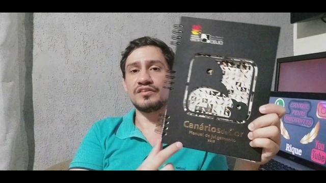 QUAIS SÃO OS GRUPOS DOS CANÁRIOS DE RAÇA? смотреть онлайн