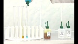 Основные классы неорганических соединений. Опыт 2 ч.1. Получение нерастворимых в воде оснований