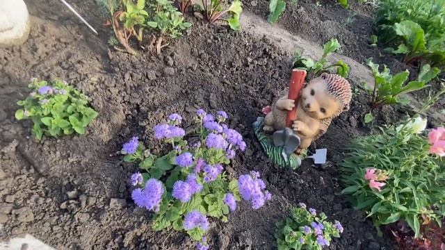 VLOG: выходные на ДАЧЕ