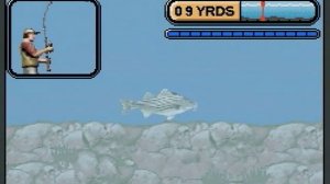 Rapala Pro Fishing Game Boy Gameplay