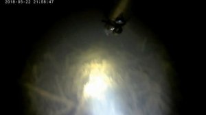 Ночная подводная охота. Залив Енисей