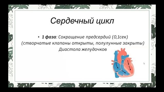 Сердечный цикл. Разбор задания №3 (ЕГЭ по биологии) смотреть онлайн