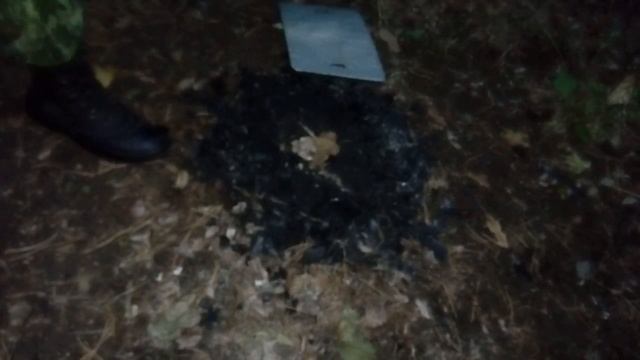 Костер в сыром лесу или фаршированная рыба на углях смотреть онлайн