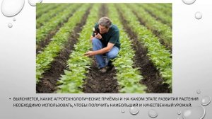 Исследования культурных растений или опыты с ними