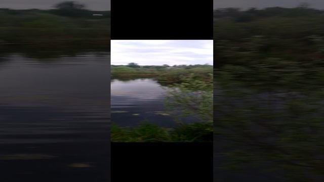 Красивое место на таежной речке