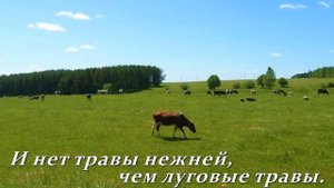 Марийский край